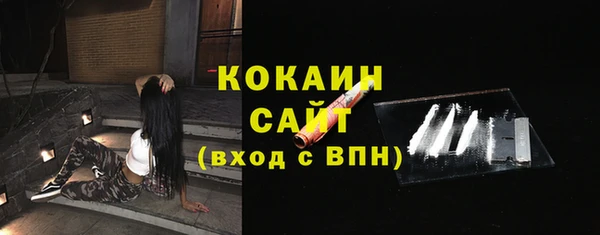 твердый Богородск