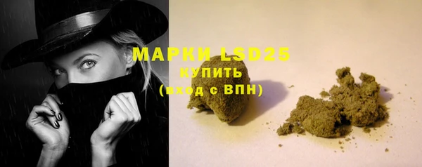 дмт Богородицк