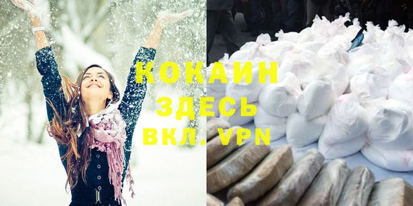 дмт Богородицк