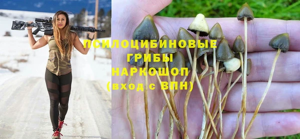 твердый Богородск