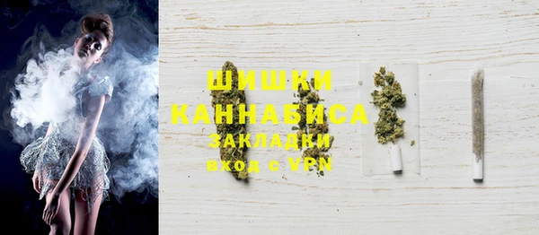 дмт Богородицк